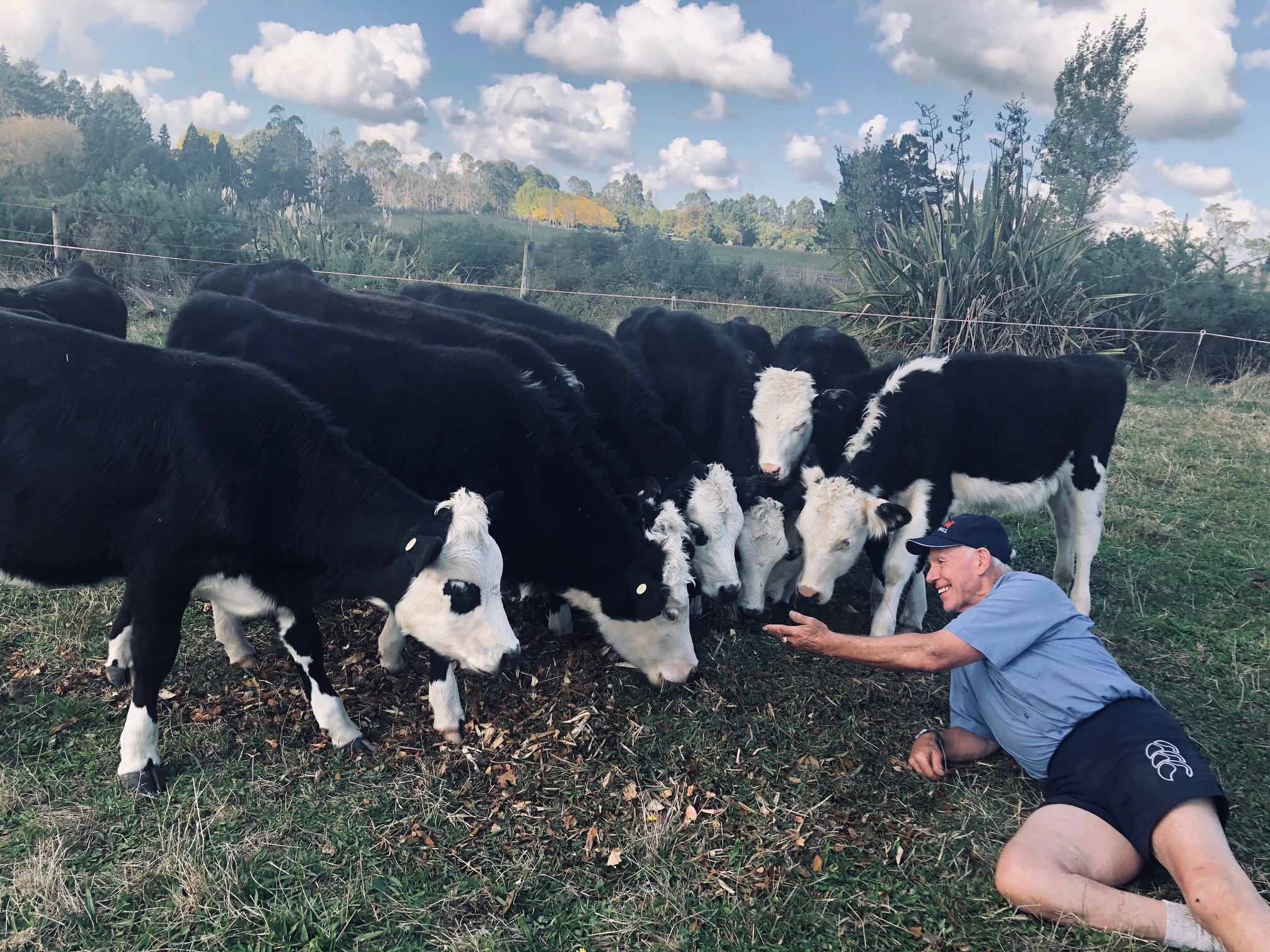 Colostrum Farm